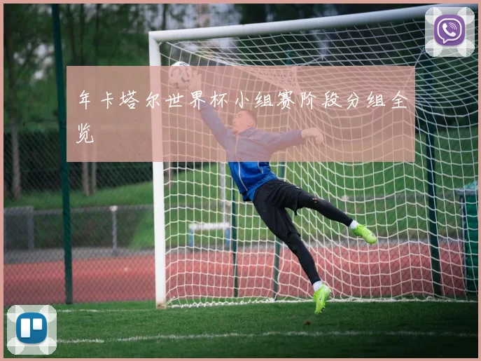年卡塔尔世界杯小组赛阶段分组全览