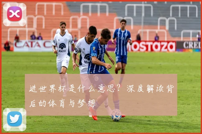 进世界杯是什么意思？深度解读背后的体育与梦想
