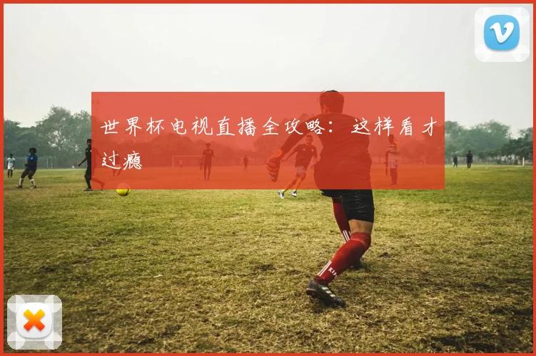 世界杯电视直播全攻略:这样看才过瘾