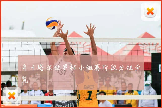 年卡塔尔世界杯小组赛阶段分组全览