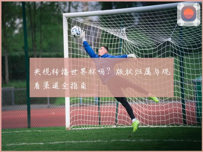 央视转播世界杯吗？版权归属与观看渠道全指南