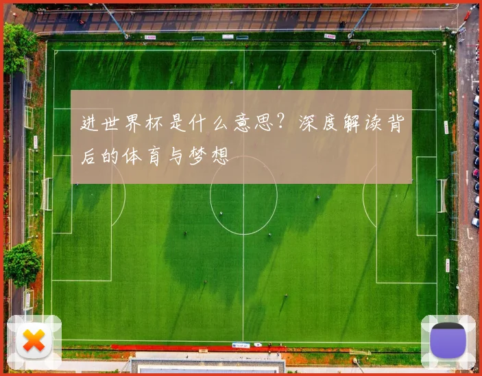 进世界杯是什么意思？深度解读背后的体育与梦想