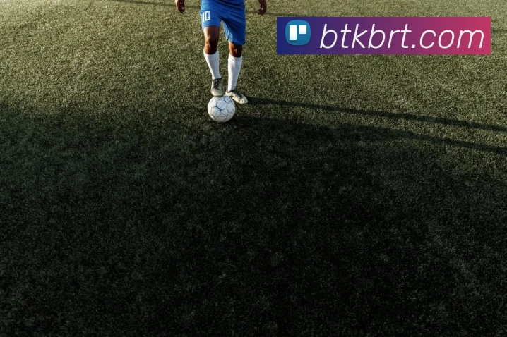 熊猫体育官方旗舰店平台生态图